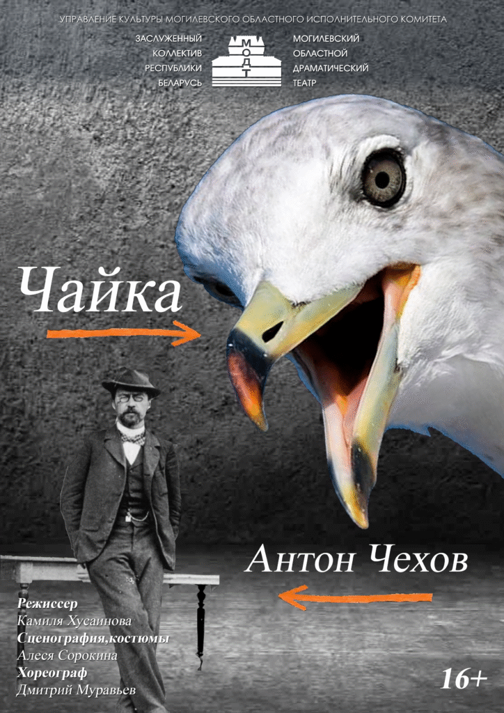 Чайка